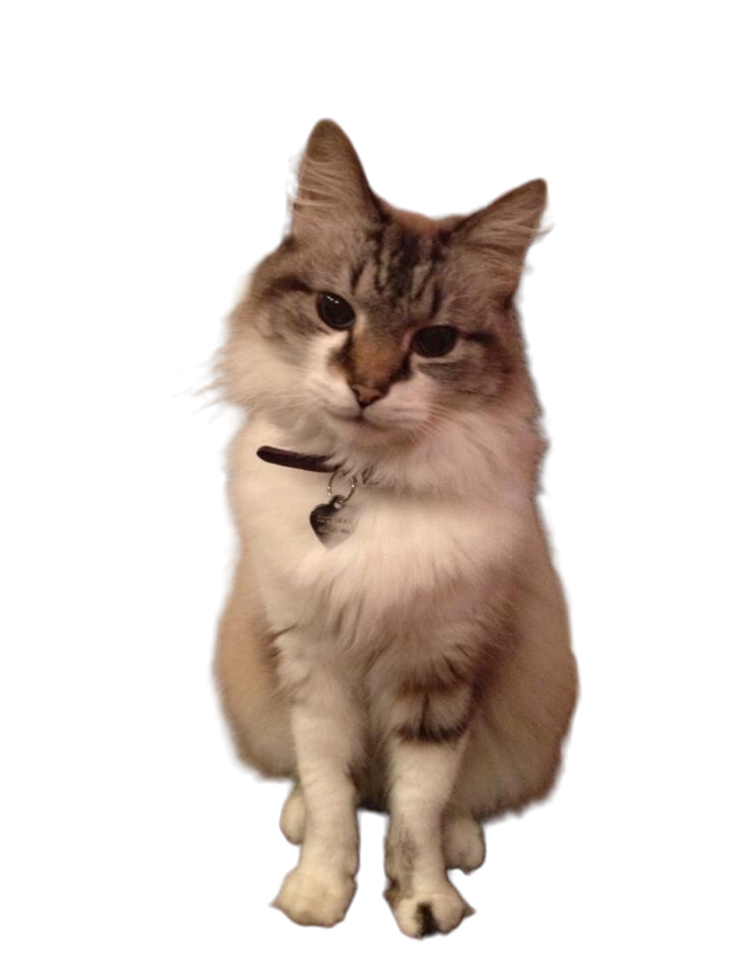 Clyde
