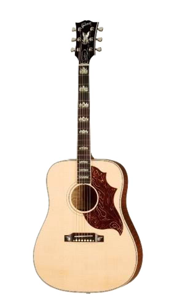 2007 Gibson The FIrebird acoustic