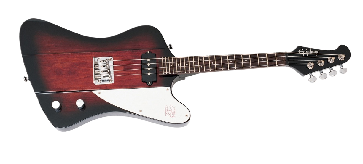 Epiphone Mandobird